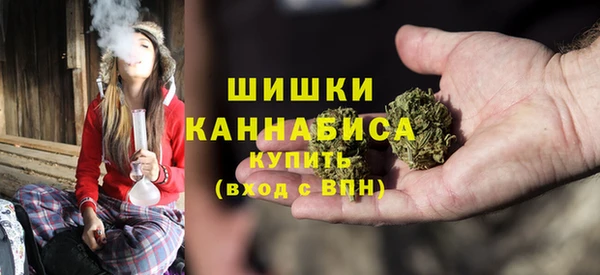 молекула духа Верхний Тагил