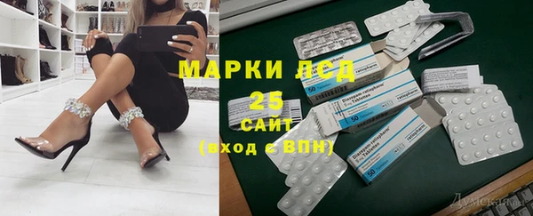 прущие грибы Горно-Алтайск