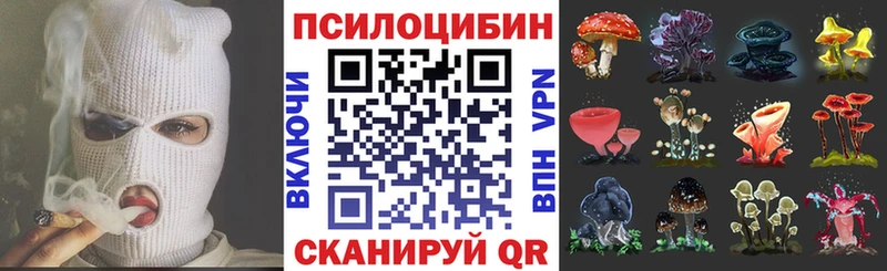Псилоцибиновые грибы Cubensis  blacksprut онион  Дубовка  купить наркотики цена 